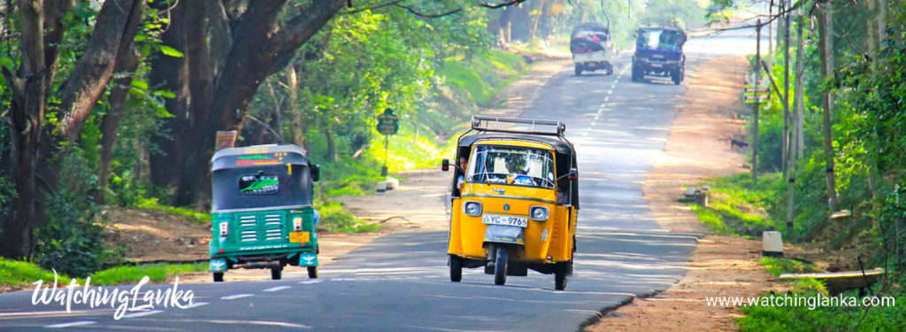 Modes of Transportation in Sri Lanka