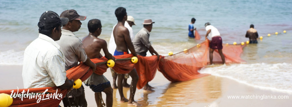 Fishing Industry in Sri Lanka