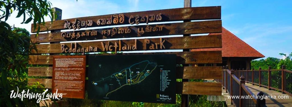 Beddegana Wetland Park in Sri Lanka