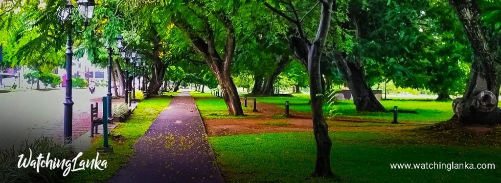 Viharamahadewi Park in Colombo