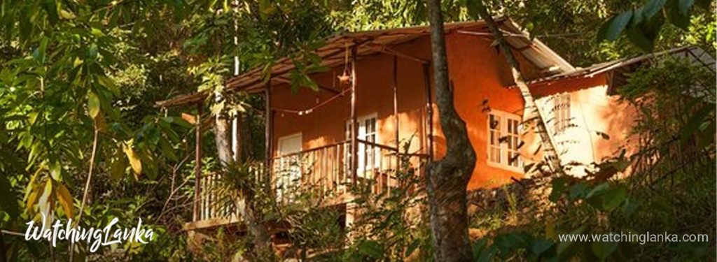 Polwaththa Eco-Lodges