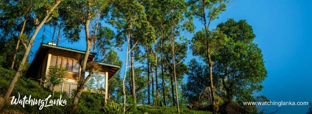 Tea Cottage Resort & Spa in Kandy