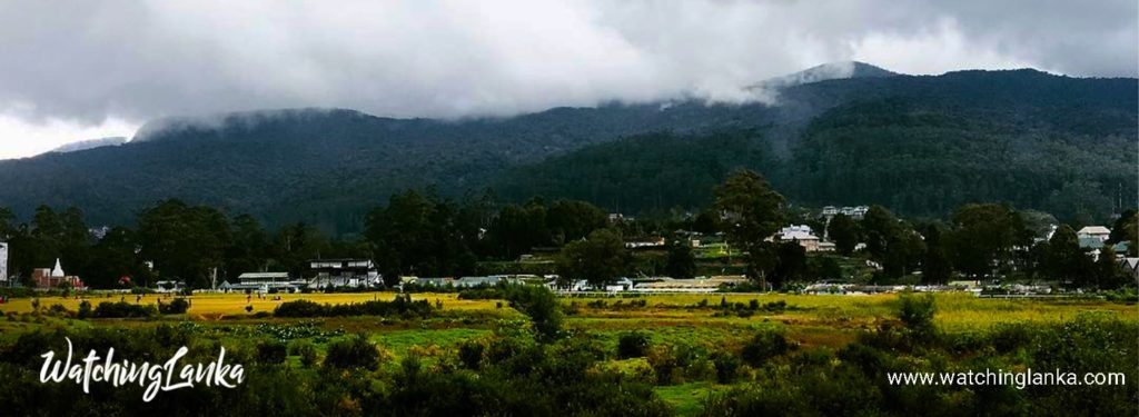 Piduruthalagala Mountain