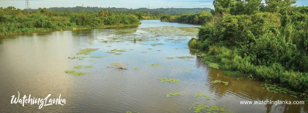 Nilwala River